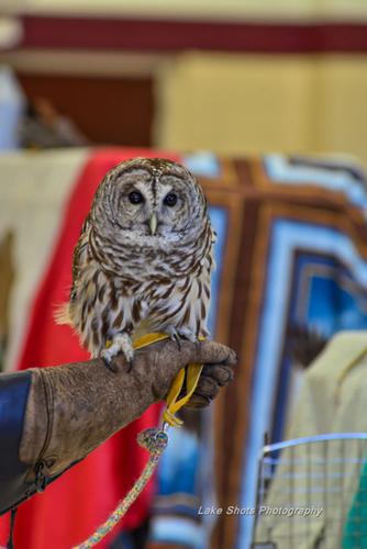 EagleDays2017 300.jpg