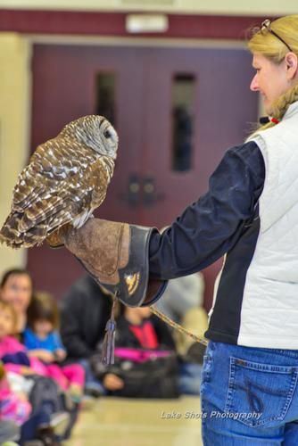 EagleDays2017 303.jpg