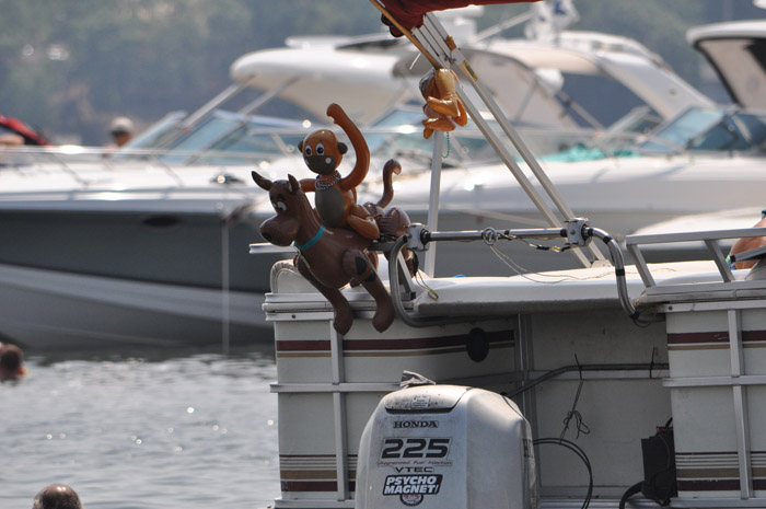 DSC_0649.jpg