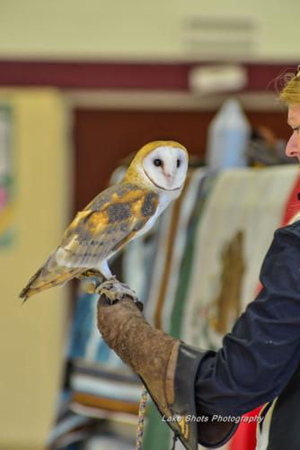 EagleDays2017 311.jpg