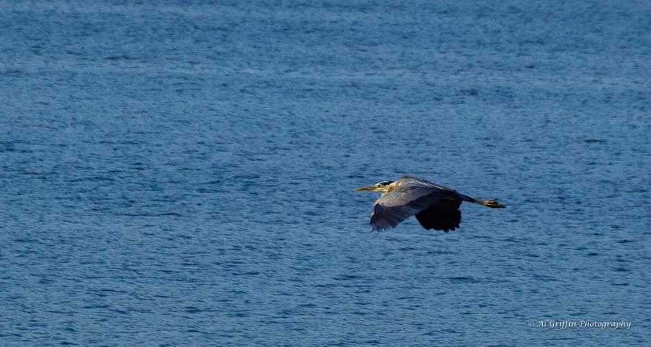 Isla del Sol      18.jpg