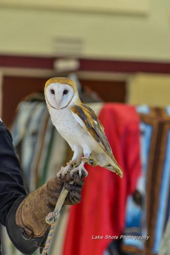 EagleDays2017 314.jpg