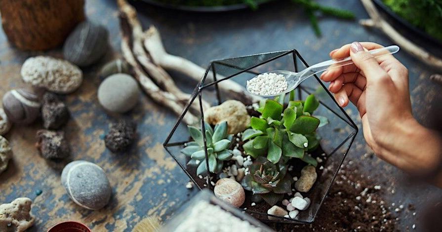 Terrarium Building Workshop Events Calendar Lake of the Ozarks