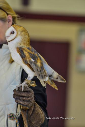 EagleDays2017 318.jpg