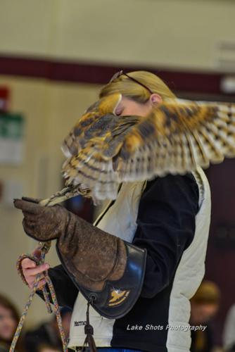 EagleDays2017 319.jpg