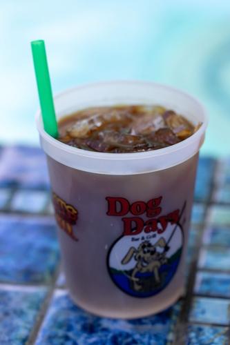 Adult Iced Coffee Large.jpeg