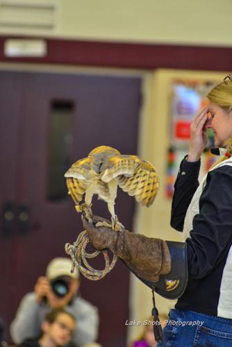 EagleDays2017 326.jpg