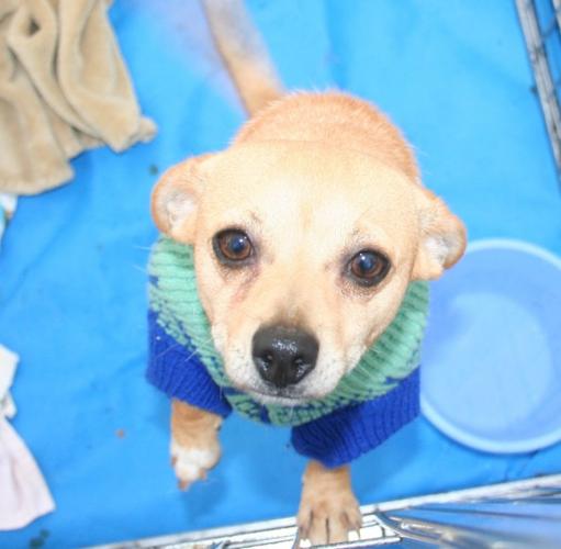 I need a home.jpg