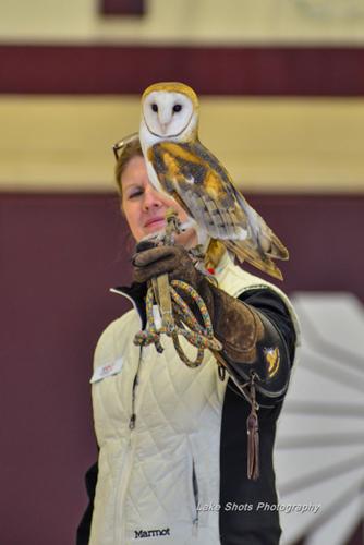 EagleDays2017 335.jpg