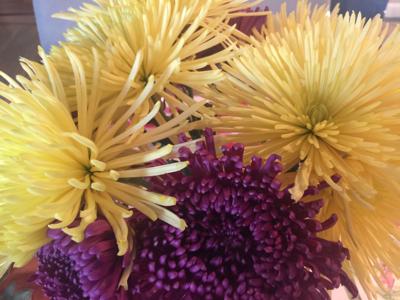 Events & Live Music, Nov. 23-26