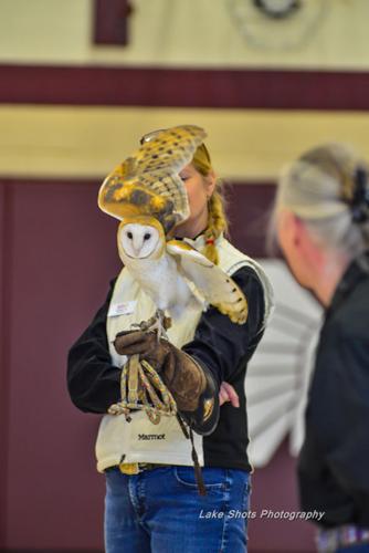 EagleDays2017 343.jpg