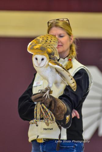 EagleDays2017 344.jpg