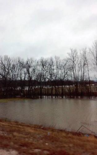 Tuscumbia 8.jpg