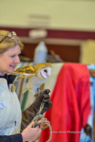 EagleDays2017 351.jpg