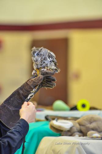 EagleDays2017 357.jpg
