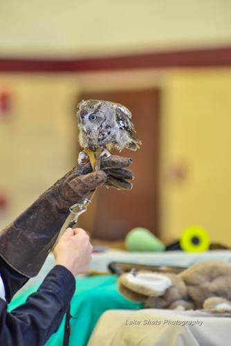 EagleDays2017 358.jpg