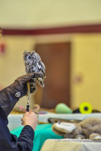 EagleDays2017 359.jpg