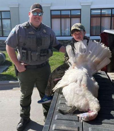 White turkey