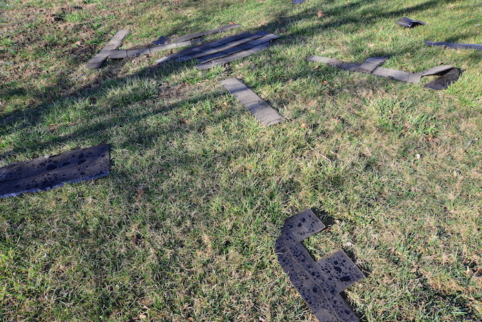 DSC_9257.JPG