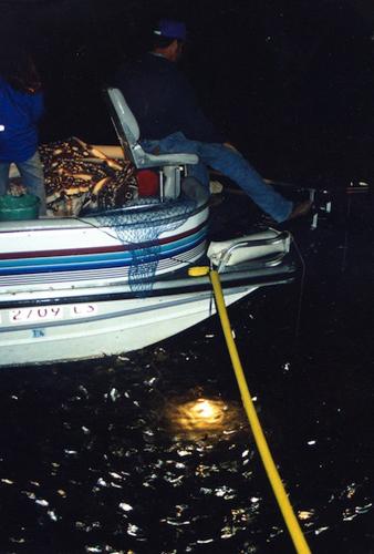 Dark nights, bright lights, good fishing, Lake of the Ozarks News