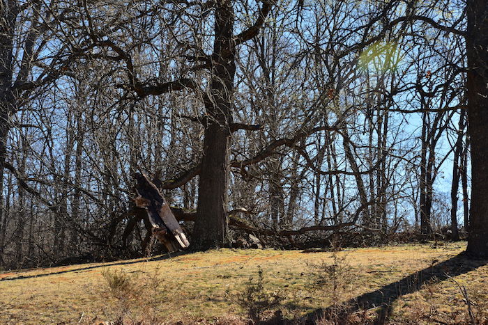DSC_9298.JPG