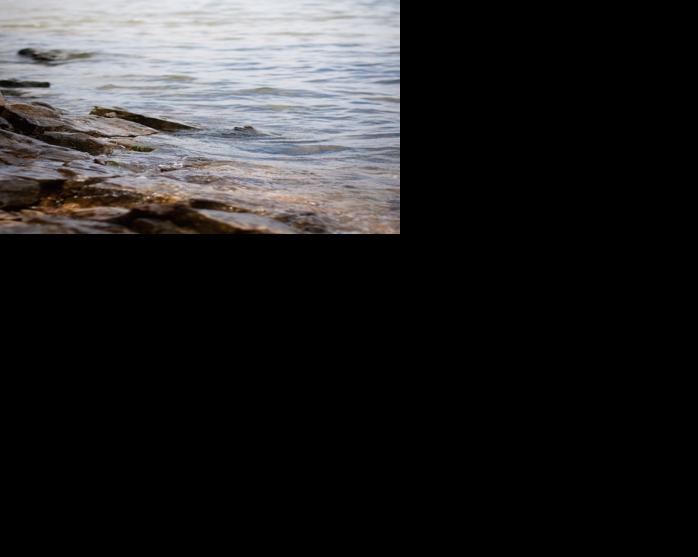 Lake Shoreline