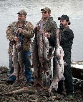 Missouri spring paddlefish snagging season kicks off March 15, 2022