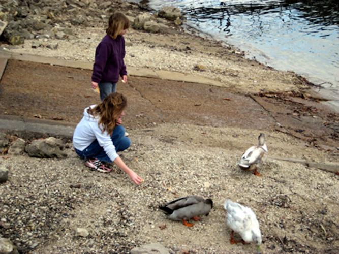 playing with ducks copy.jpg