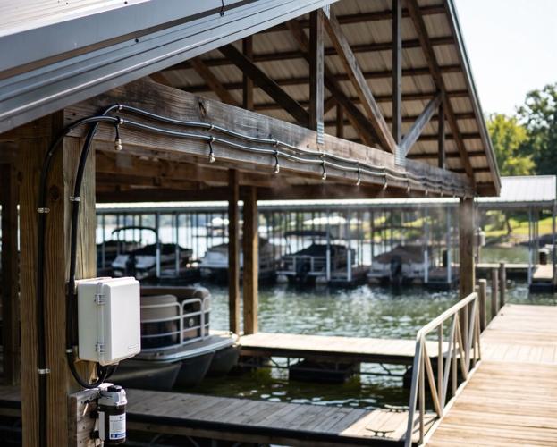 Dock mist  Large.jpeg