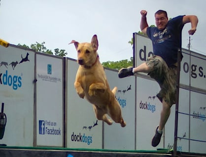 Spirited jumping
