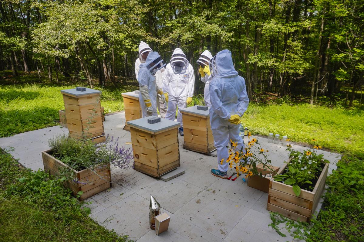 Beekeeping Class