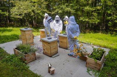 Beekeeping Class