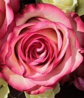 Leora Darlene Yoakum (December 12, 1944 - October 5, 2026)