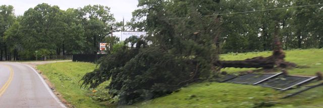 O Road Laurie 5.jpg