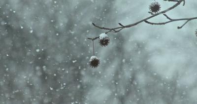 Winter Weather Warning At The Lake Snow Rain Wintry Mix