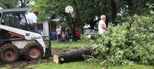 Tree on House Laurie.jpg