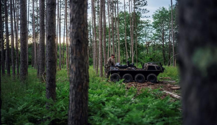 Argo in the woods.jpg
