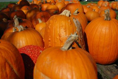 Pumpkins