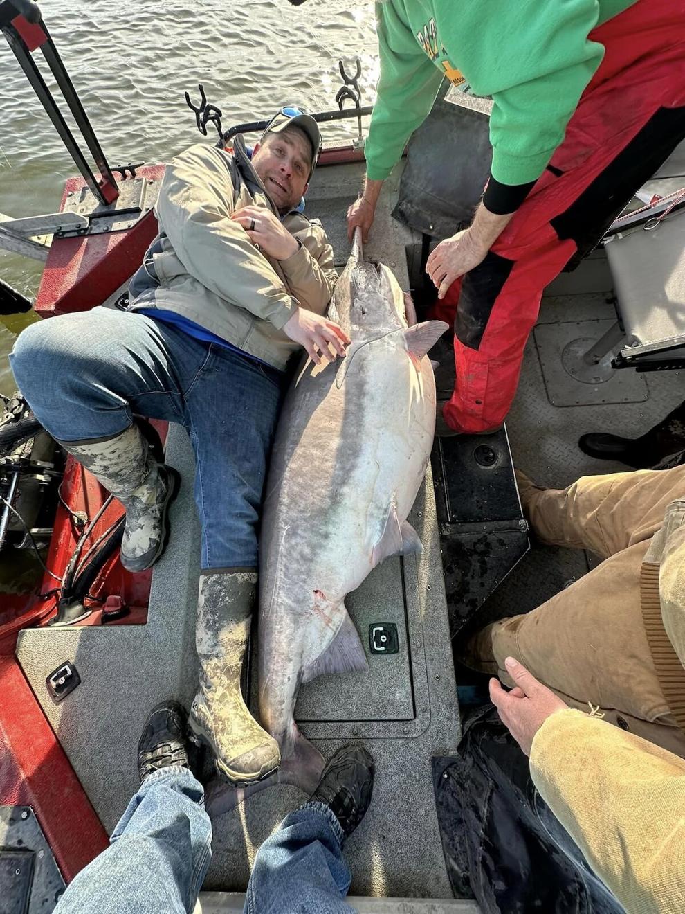 New World Record At Lake Of The Ozarks! Angler Snags 164-POUND ...