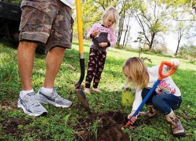 Planting Trees