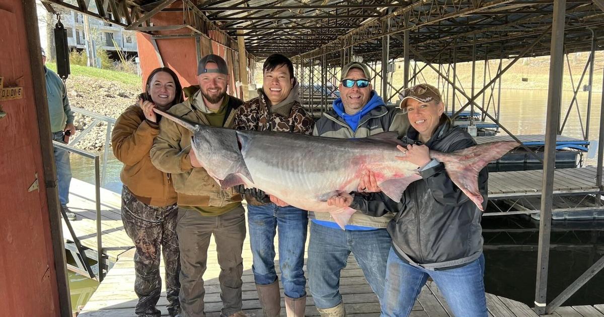 New World Record At Lake Of The Ozarks! Angler Snags 164-POUND ...