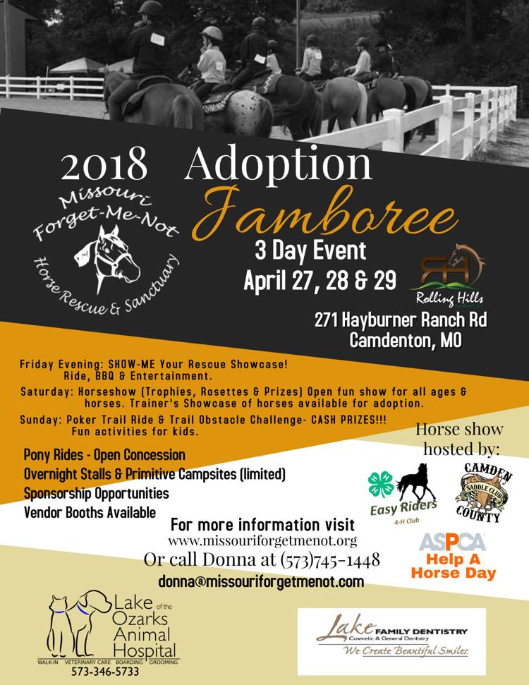 Horse Adoption Jamboree Missouri Forget Me Not Horse Rescue And Sanctuary Charity Events Lakeexpo Com,Jackson Chameleon Care