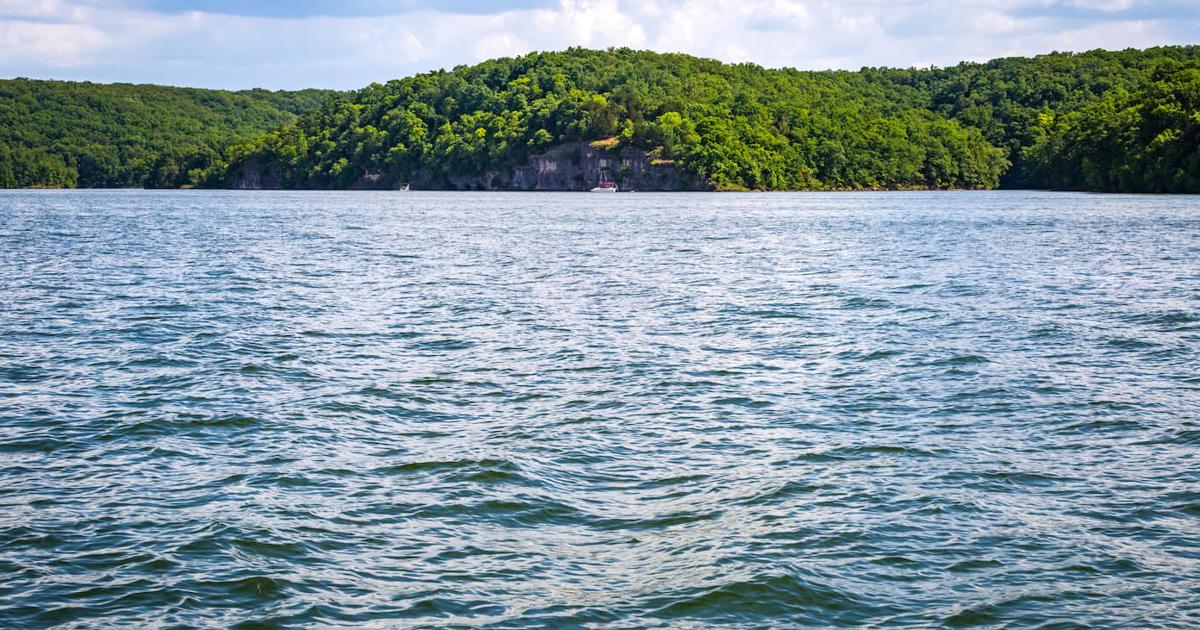 Lake Invaders! 3 Species That Lurk Nearby And How We Can Protect Lake ...