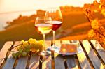 Top Wineries At Lake Of The Ozarks