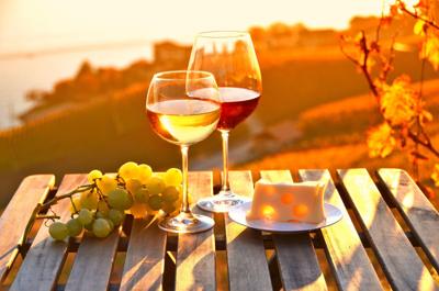 Wine & Grapes & Cheese - A Winery Tour