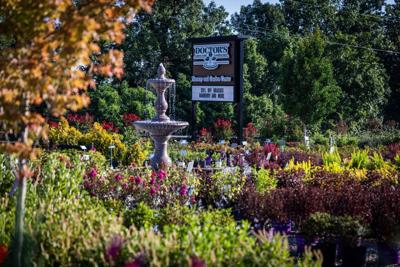 Doctor's Lawn & Landscape.jpg
