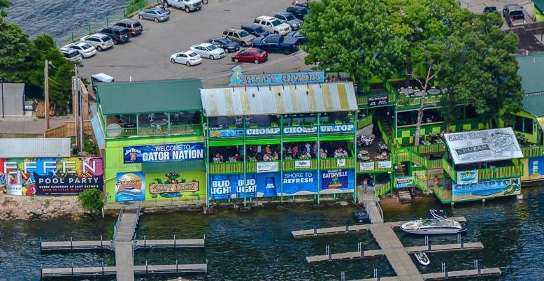 Shady Gators - In-Article Photo