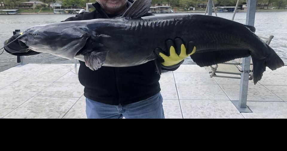'We're Gonna Need A Bigger Net' Angler Reels In Giant Catfish On Lake