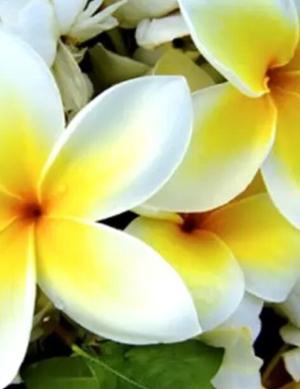 Jean Hilliard (April 7, 1936 March 14, 2025) Obituaries Lake of