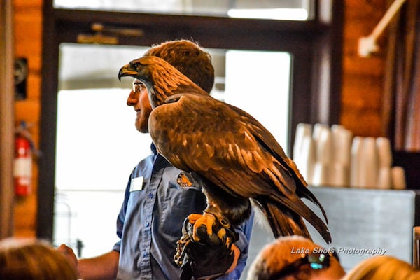 EagleDays2017 019.jpg